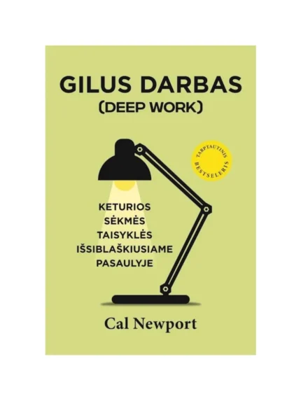 Gilus darbas. Keturios sėkmės taisyklės išsiblaškusiame pasaulyje-shop.gabu.lt