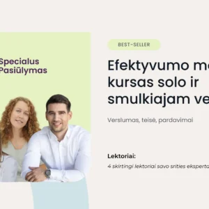 Efektyvumo mokymų kursas solo ir smulkiajam verslui (Video)